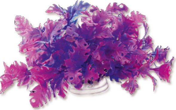 Happet HAPPET ROŚLINA FOLIA 10CM / 1F21