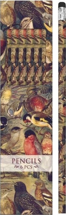 Ołówki ozdobne STPEN34 ptaki 6 sztuk