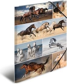 Herma Teczka A3 (19217)