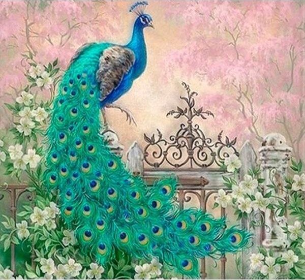 Norimpex Mozaika diamentowa 5D - Paw 40x30cm