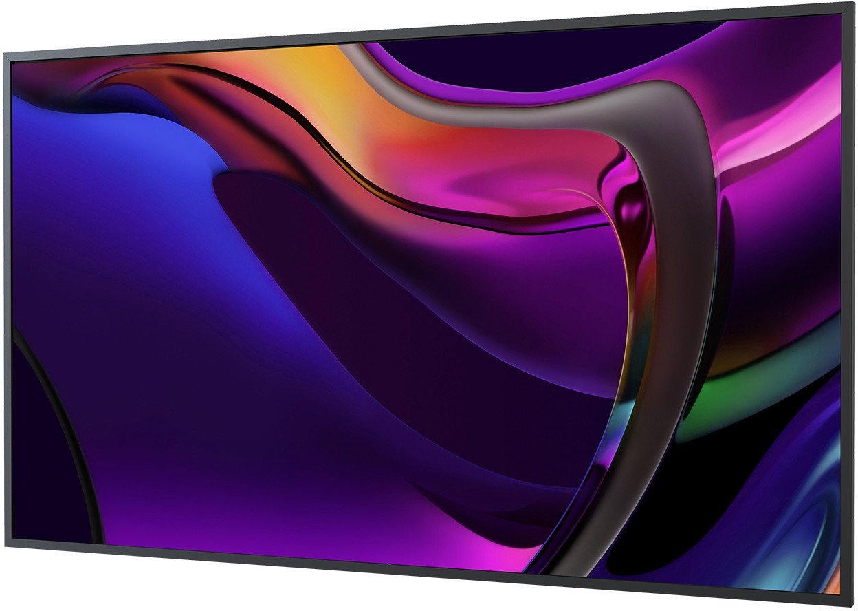 Standard Display 65"