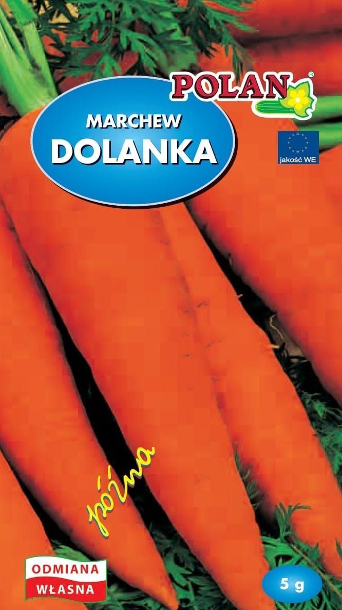 Polan Marchew Jadalna Dolanka Nasiona 5g Polan