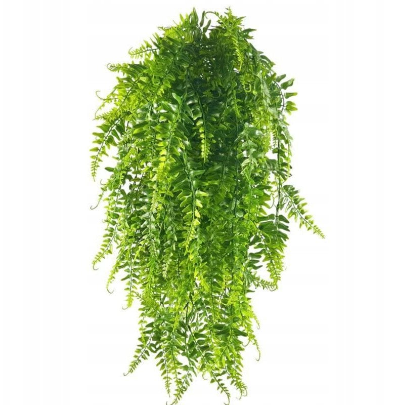 SZTUCZNA PAPROĆ Paprotka DOMOWA Zwisająca XL Duża REALISTYTCZNA