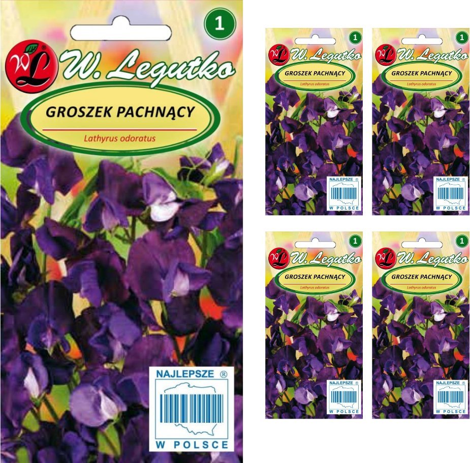 Legutko Nasiona Groszek pachnący wiśniowy fioletowy, 15g