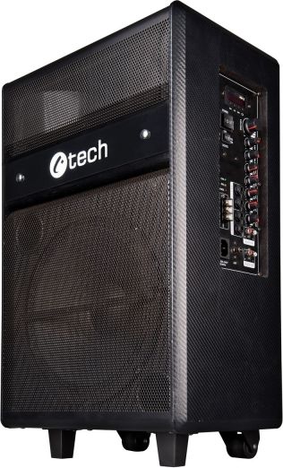 Kolumna C-Tech Impressio Cappella 100 W
