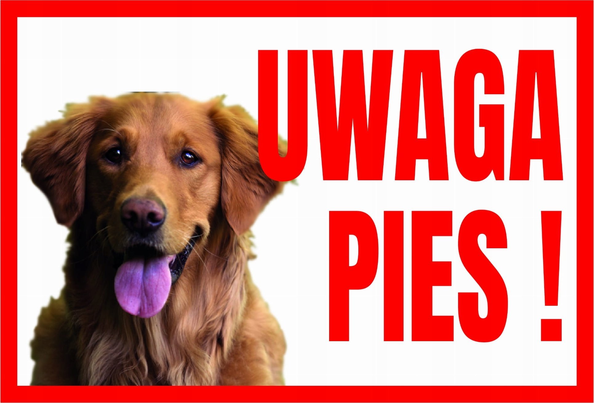 Dingo Uwaga Pies Retriever - Tabliczka Ostrzegawcza Libres Polska Sp Tup-6 5902082237464