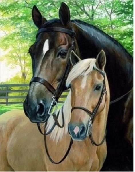 Norimpex Diamentowa mozaika Konie 6540