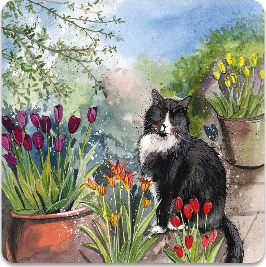 Teka Magnes FM246 Kot Roderick w ogrodzie