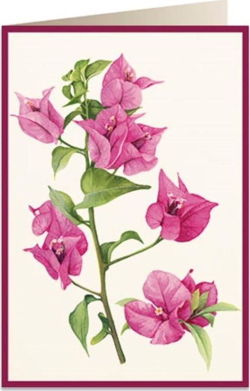 Tassotti Karnet B6 + koperta 5934 Bugenwilla 2