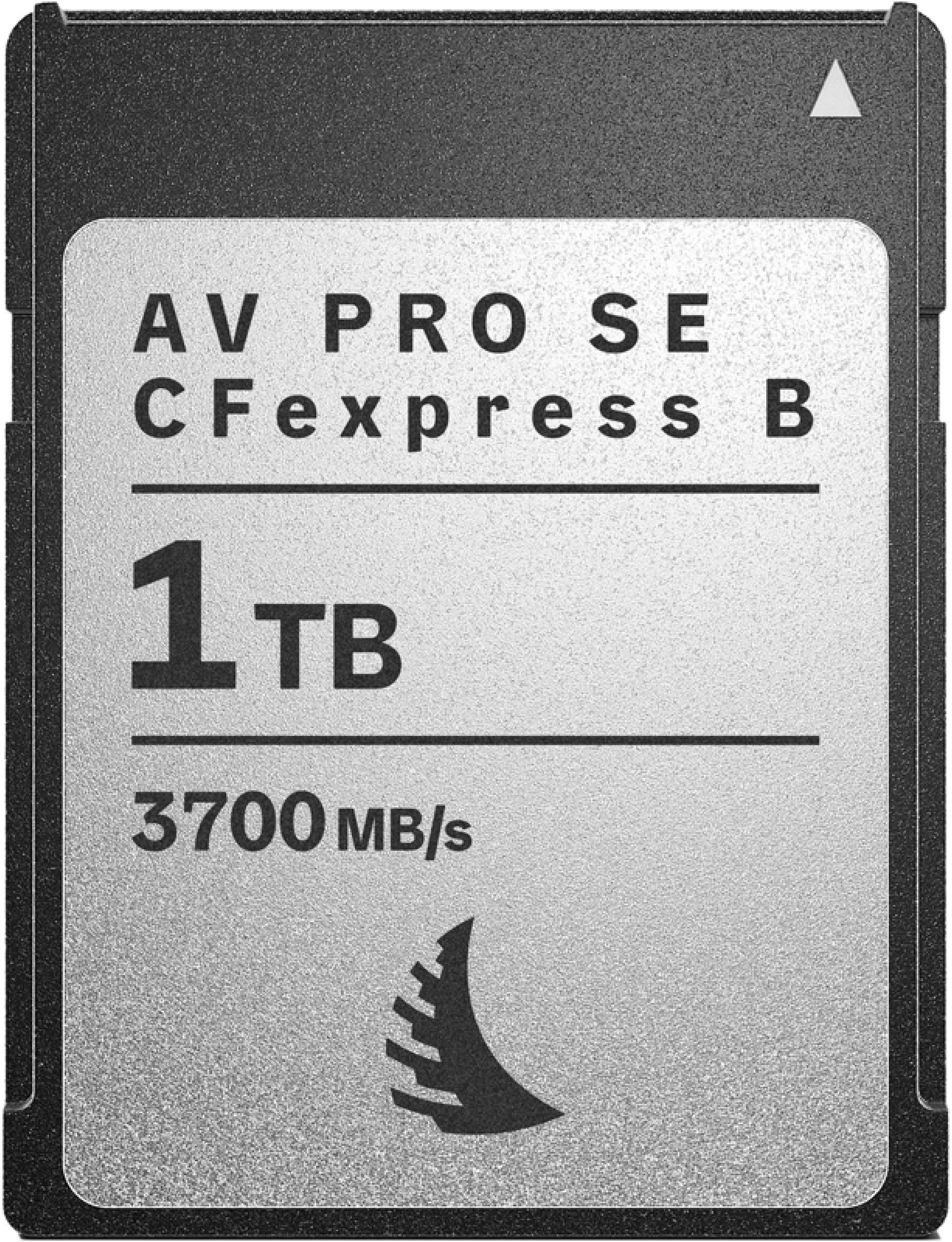 Karta Angelbird AV PRO SE CFexpress 1 TB (AVP1T0CFXBSEMK2)