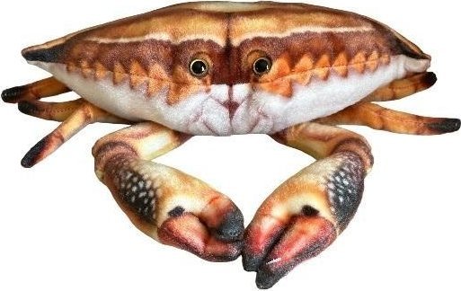 Krab 31cm
