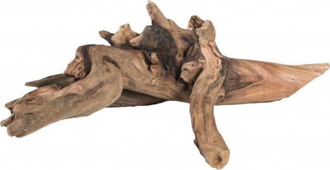 Terra Natura Małe szybko tonące drewno S 15-20cm