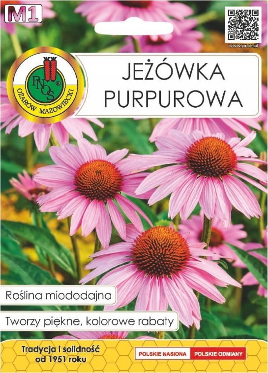 Jeżówka purpurowa nasiona 1g Roślina miododajna i lecznicza