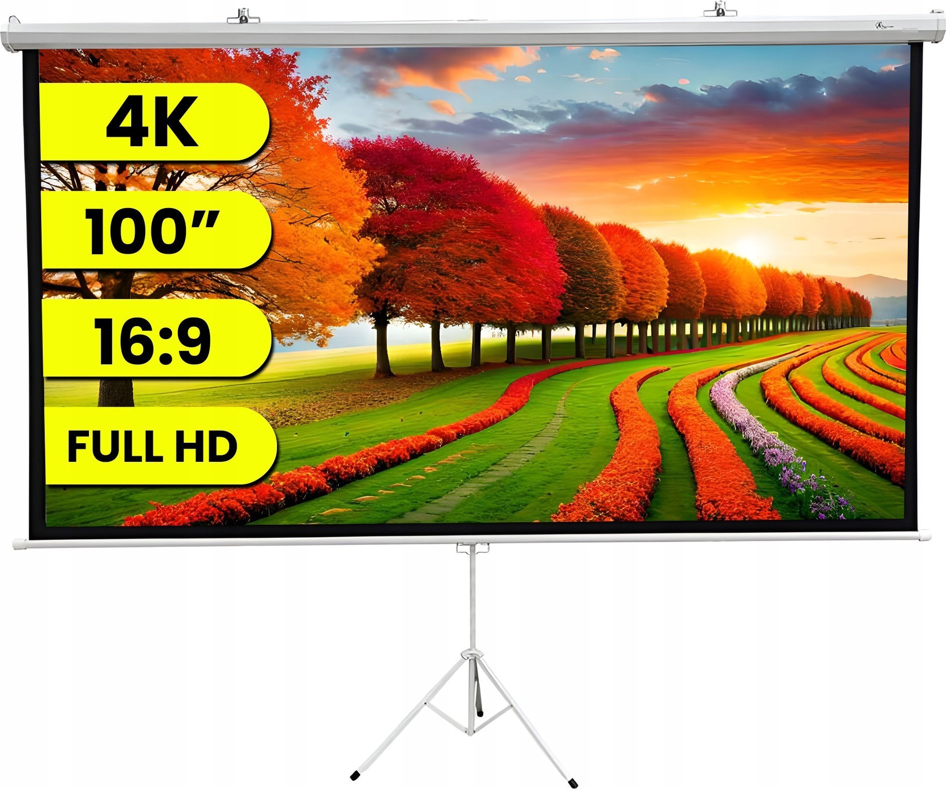 Ekran do projektora ExtraLink Projection Screen
