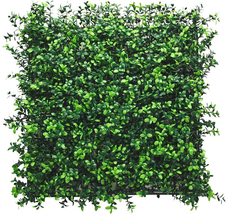 PANEL ZIELENI BUKSZPAN 50X50 CM ZIELONA ŚCIANA