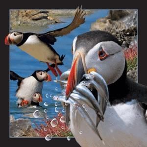 Worth Keeping Magnes 3D Maskonur