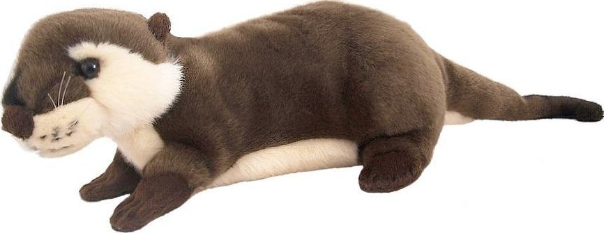 Wydra europejska 30cm