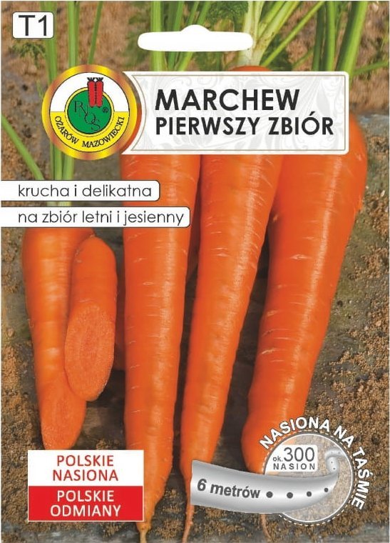 Marchew pierwszy zbiór nasiona na taśmie 6m Odmiana wczesna