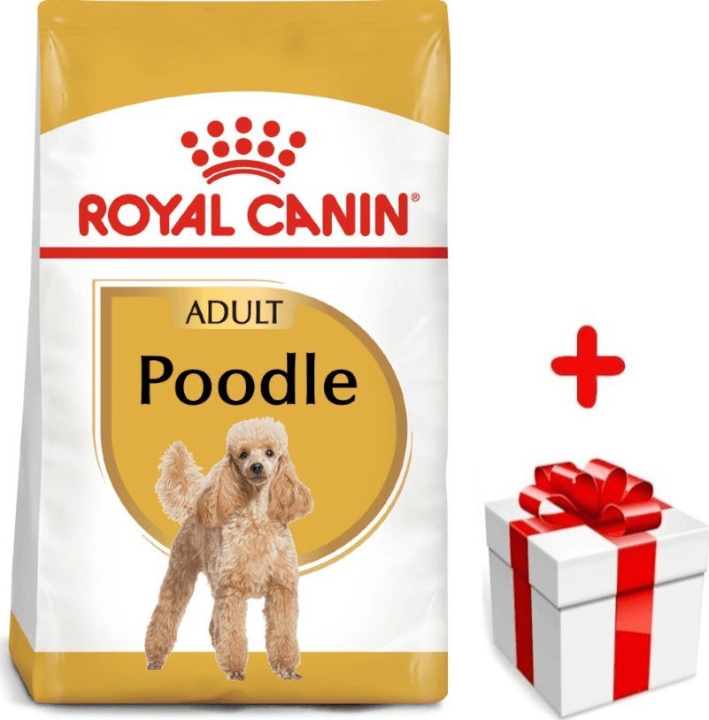 Royal Canin ROYAL CANIN Poodle Adult 1,5kg karma sucha dla psów dorosłych rasy pudel miniaturowy + niespodzianka dla psa GRATIS