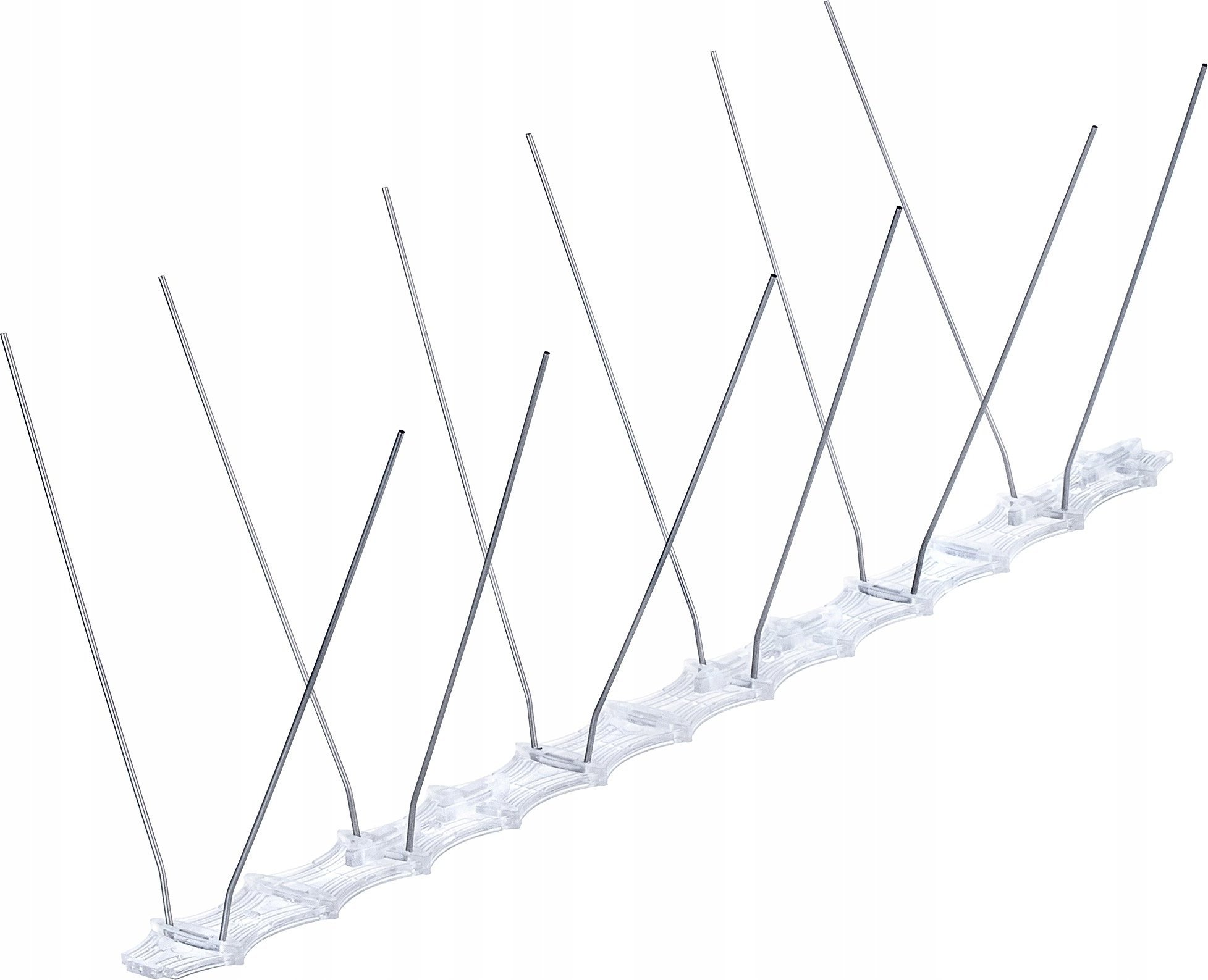 Kadax Kolce Na Ptaki Gołębie Nierdzewne Solidne I Długie