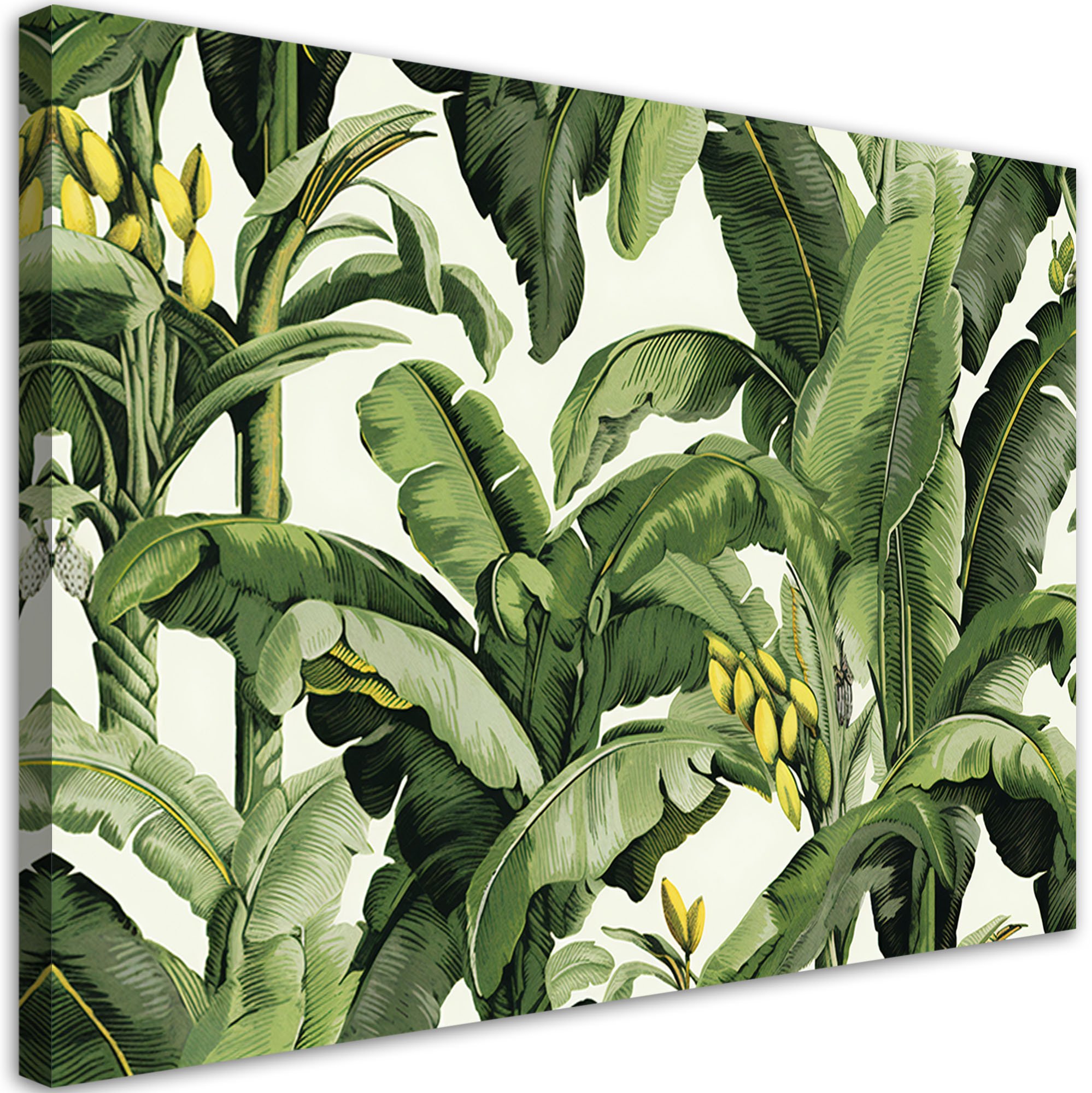 Feeby obraz na płótnie zielone liście bananowca 100x70 large