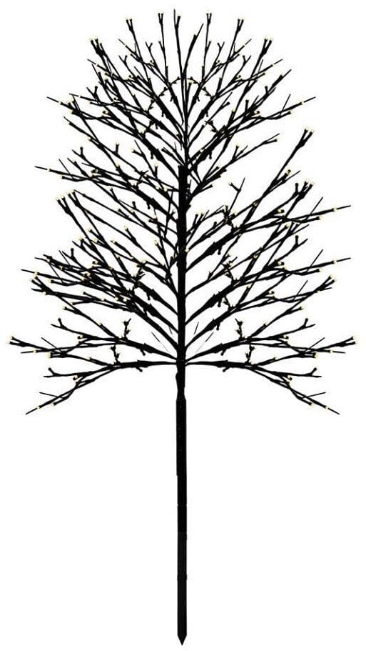 Sirius Noah Tree H220cm, 480L, black