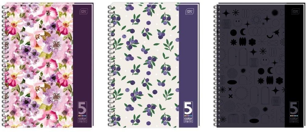 Kołozeszyt B5/160K kratka 5 kol registrów (5szt)