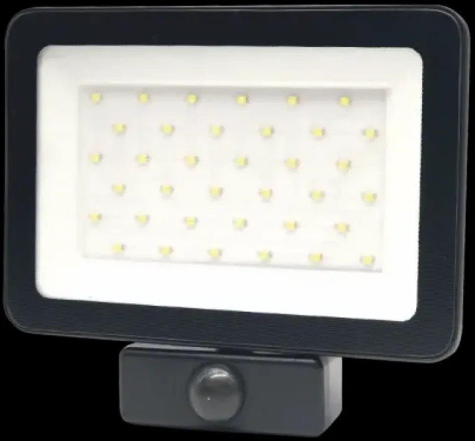 LED spotlight TOPE TAMASENS, IP65, 30 W, 4000 K, 3600 lm, with motion sensor, black.