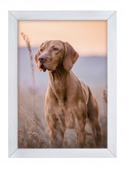 Ramka Woodflow FrameFlip A3 - drewno bielone