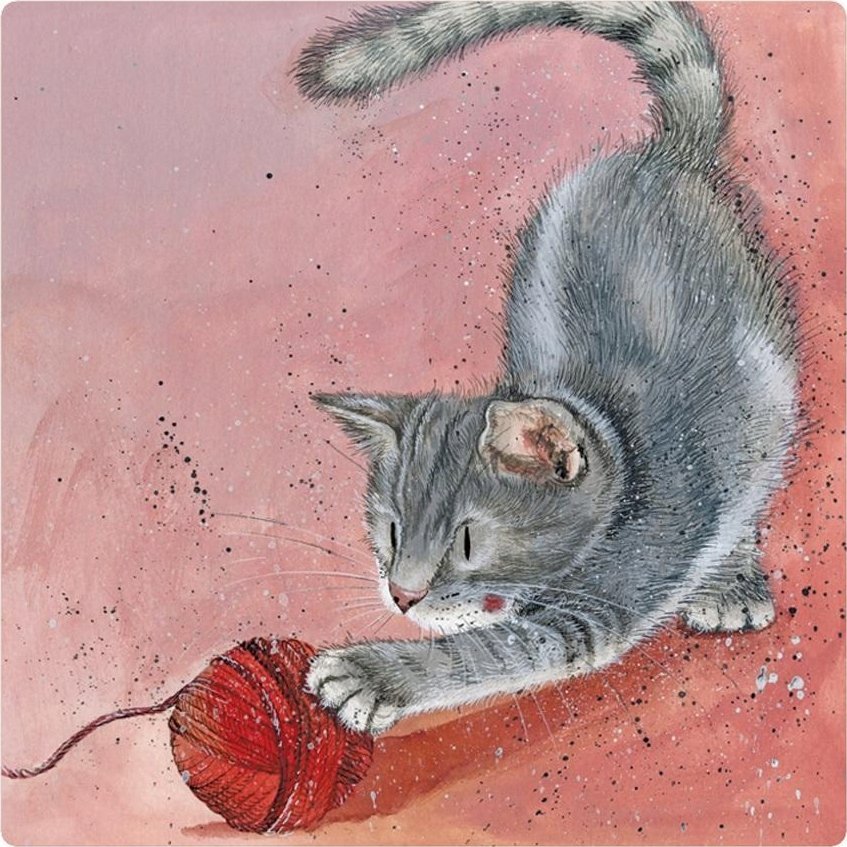 Teka Magnes FM215 Kot Pixie