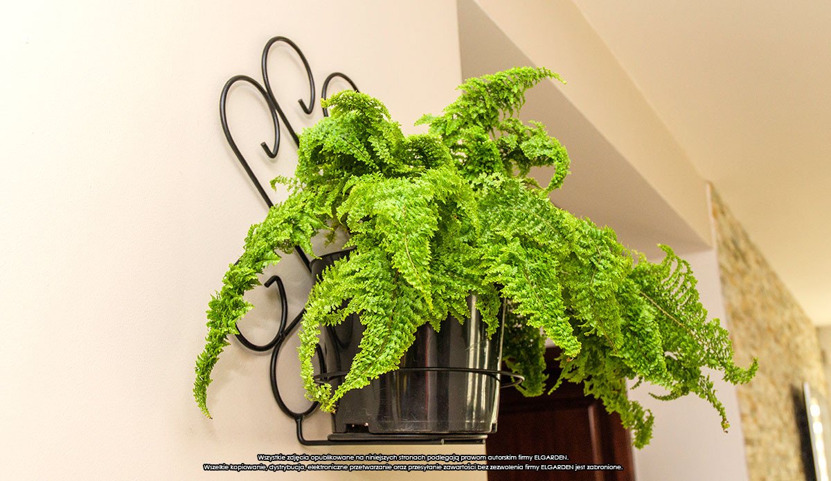 Kwietnik ścienny Ornament I ELGarden Wiszący