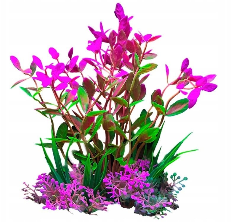 Terra Natura Aqua Natura, roślina do dekoracji akwarium, zielono-różowa, plastikowa, 12 cm, drobne liście