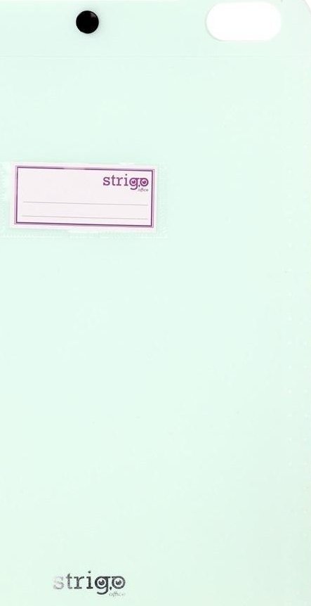 Teczka Vfile A4 z 5 przekładkami miętowa STRIGO