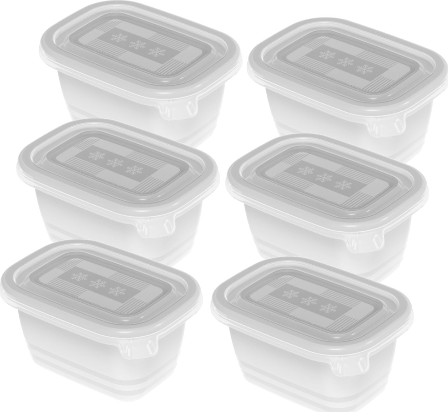 Rotho Freeze zestaw pojemników do mrożenia 6 x 0,25l