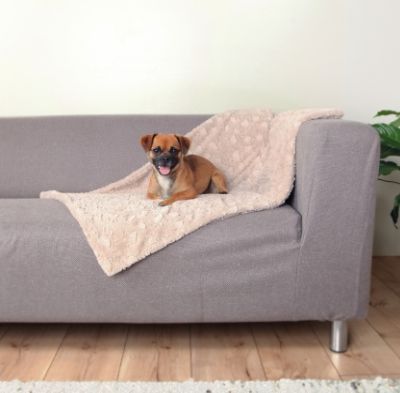 Trixie Koc, 70 × 50 cm, beż