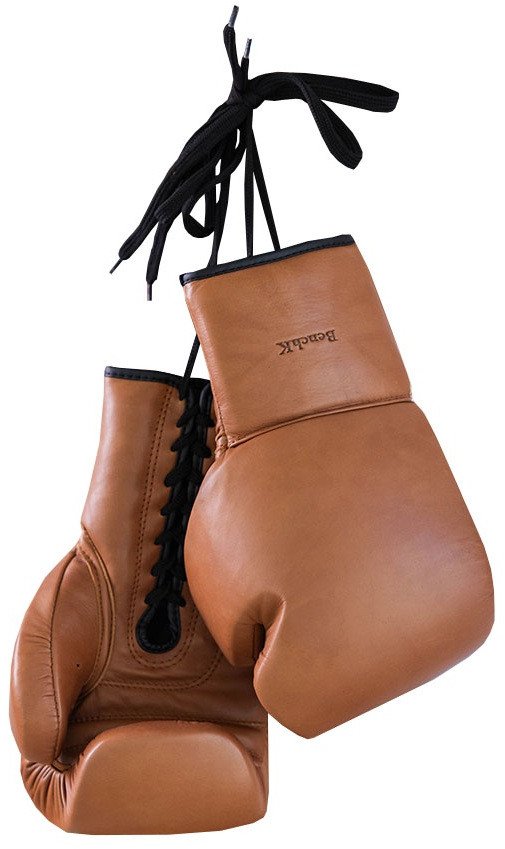 Leather Boxing Gloves