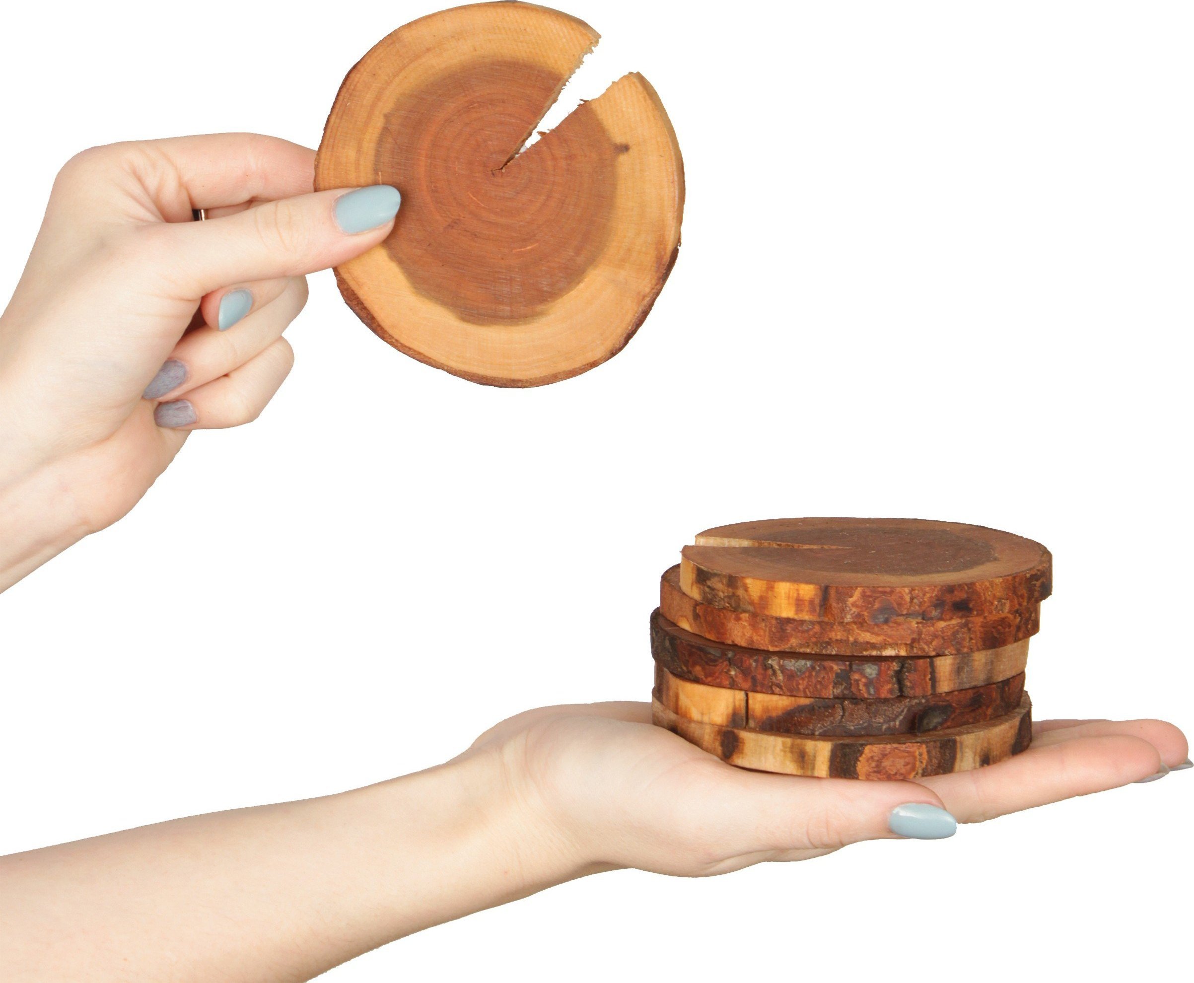 Wamar-Sosenka Zestaw 6 szt Okorowanych Podkładek na Stół /śr. 9-12 cm/ Drewno Czeremchy Olejowany Drewno czeremchowe Naturalny PDOP_0912X10_DO6 / Wama