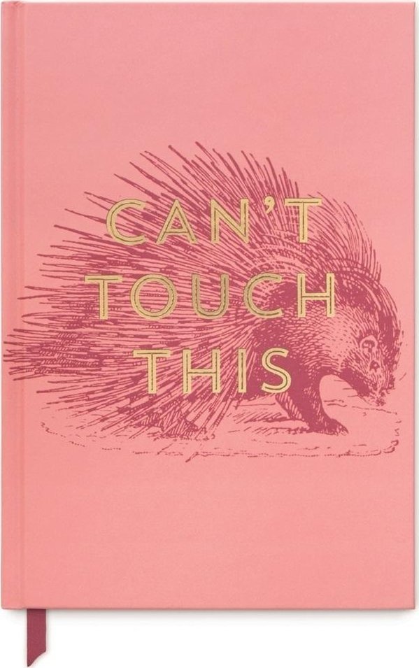 Notatnik A5/240K linia Cant Touch This