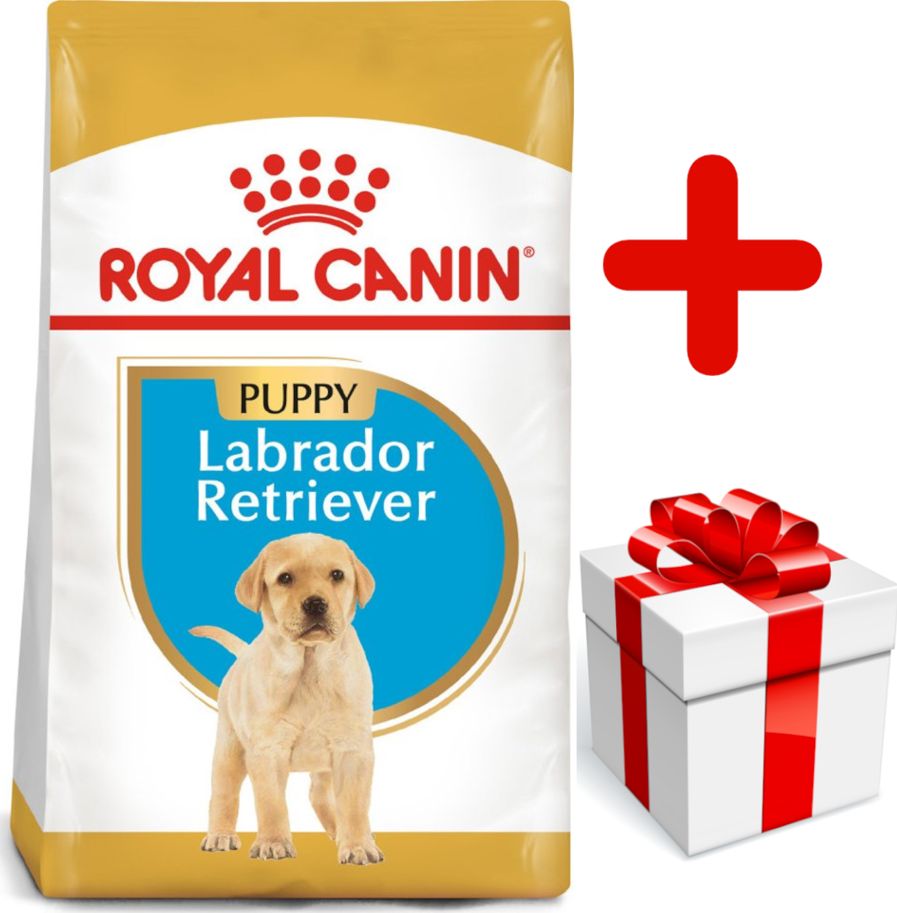 Royal Canin ROYAL CANIN Labrador Retriever Puppy 12kg + niespodzianka dla psa GRATIS!