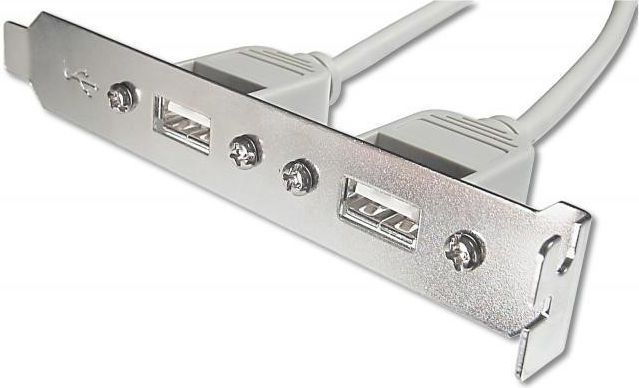 Diverse Śledź 2xUSB (AK-300301-002-E)