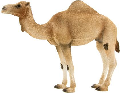 Figurka Animal Planet FIGURKA PLAST WIELBLAD 15CM 387113 ANIMAL ARABS - F7113