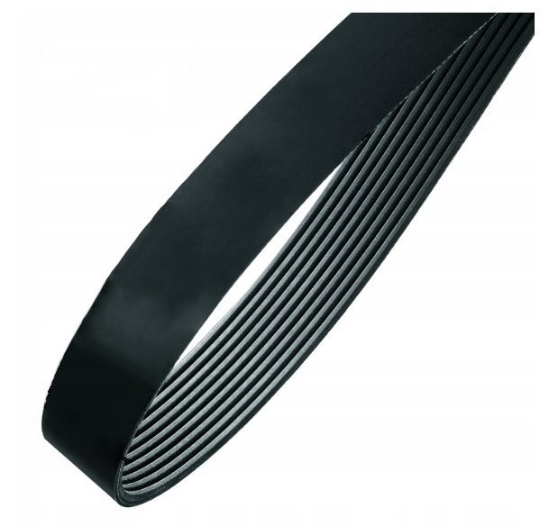 Zipro Zipro Part Pasek 310J