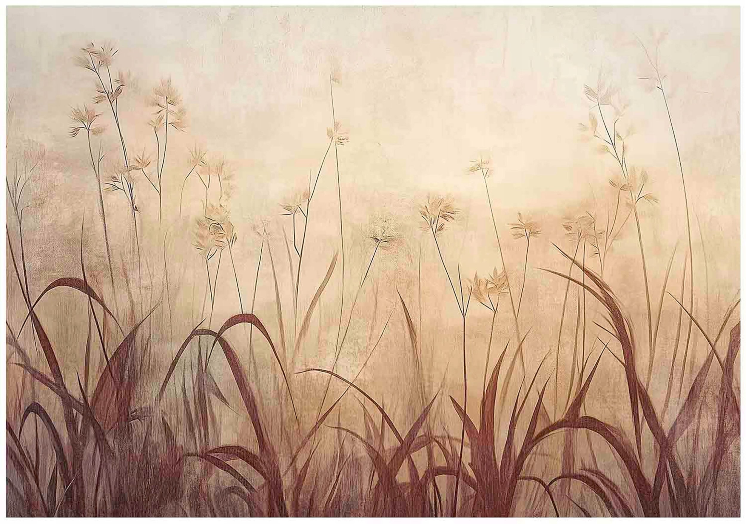 Fototapeta Trawa Boho Natura Sepia Na Ścianę Sypialnia Salon 400X280