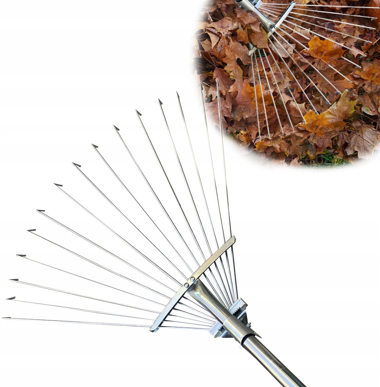 MIOTŁOGRABIE 4IQ_G_02