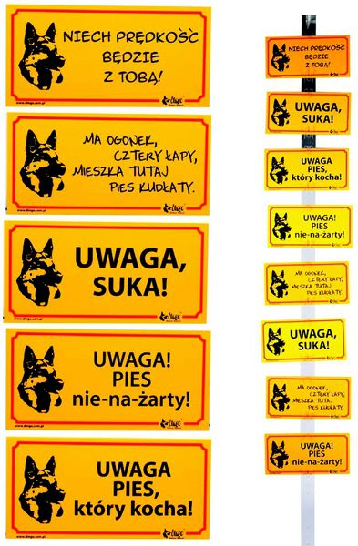 Dingo Tabliczka ostrzegawcza PCV - "Ma ogonek, cztery łapy, mieszka tutaj pies kudłaty"