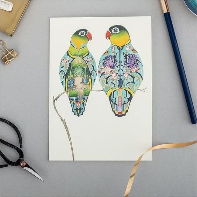 DM Collection Karnet A088 B6 + koperta Papużki