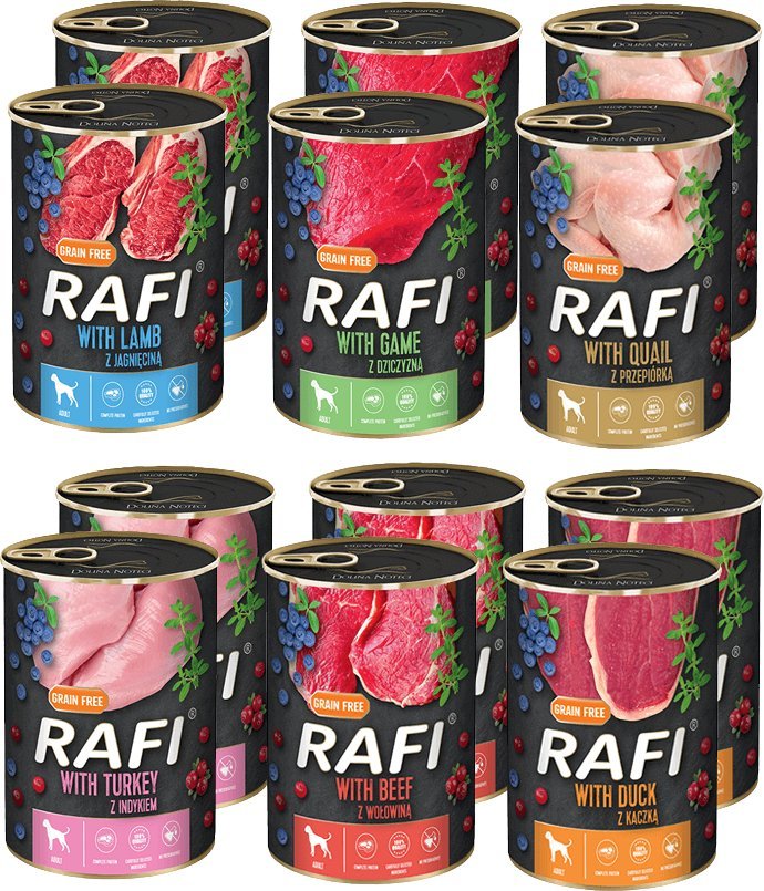 Dolina Noteci DOLINA NOTECI Rafi MIX SMAKÓW 30x400g 6 SMAKÓW