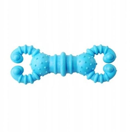 Zabawka gryzak dla psa, niebieski, TPR, 12,7 cm
