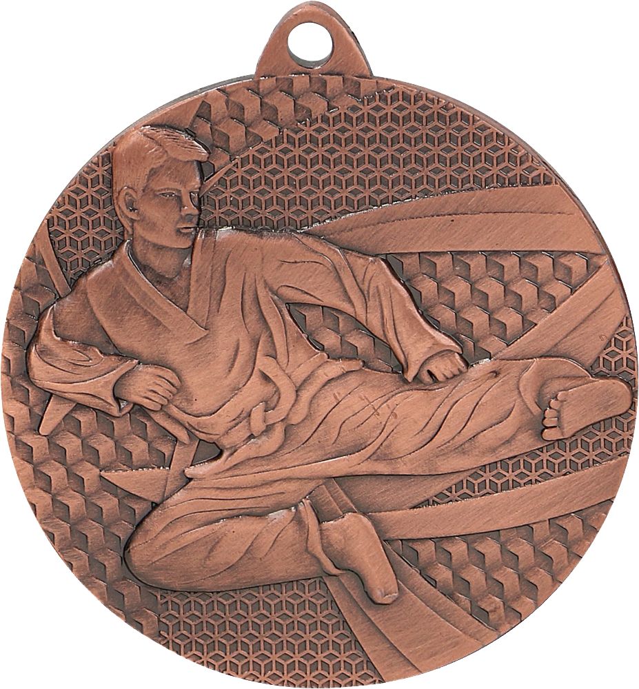 Tryumf Medal brązowy- karate - medal stalowy (MMC6650/B)