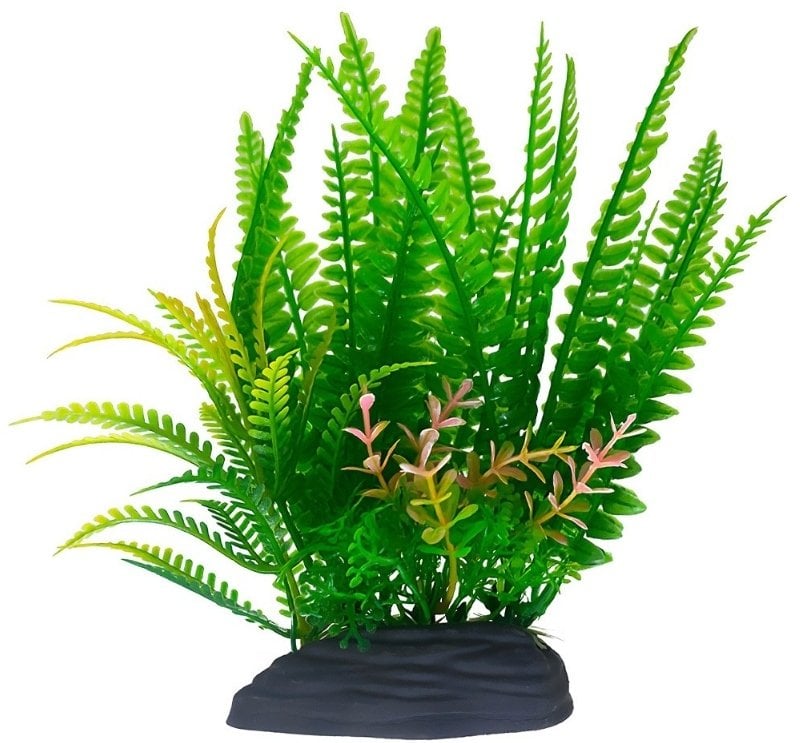 Aqua Natura, roślina, do dekoracji akwarium, zielona, plastikowa, 18 cm , paproć z żółtymi końcówkami